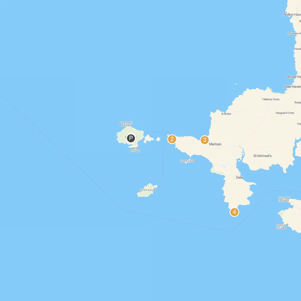 Skomer Island, Pembrokeshire, Wales, UK map with numbered points of interest